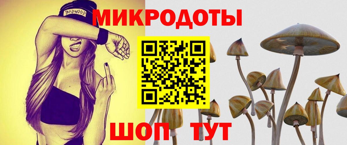 Галлюциногенные грибы ЛСД  Вход с VPN  Псилоцибиновые грибы GOLDEN TEACHER  где можно купить   Малгобек 